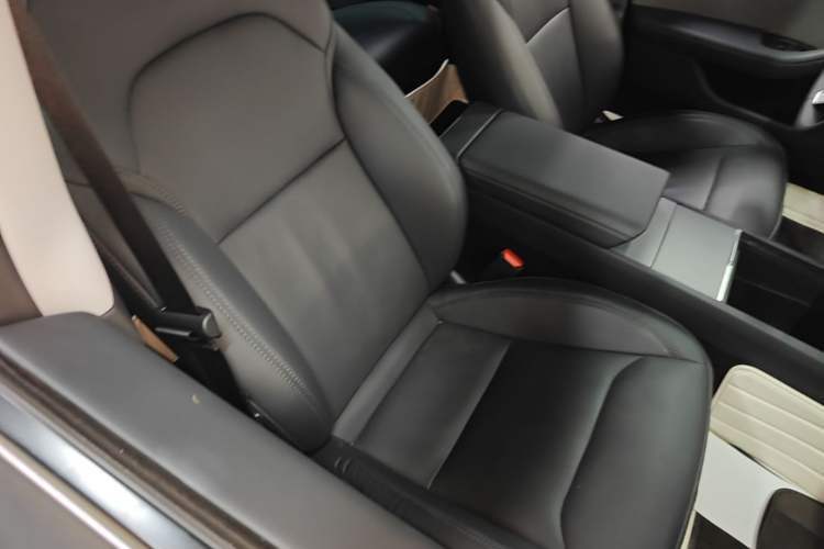 Used Tesla Model 3 2023 Rear-Wheel-Drive Version Right Front Seat
