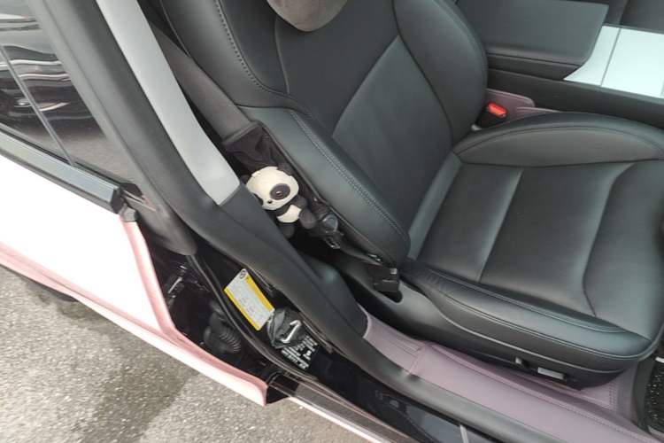 Used Tesla Model 3 2023 Rear-Wheel-Drive Version Right Front Seat