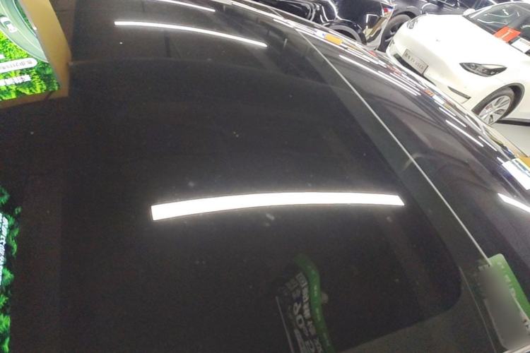 Used Tesla Model 3 2023 Rear-Wheel-Drive Version Roof