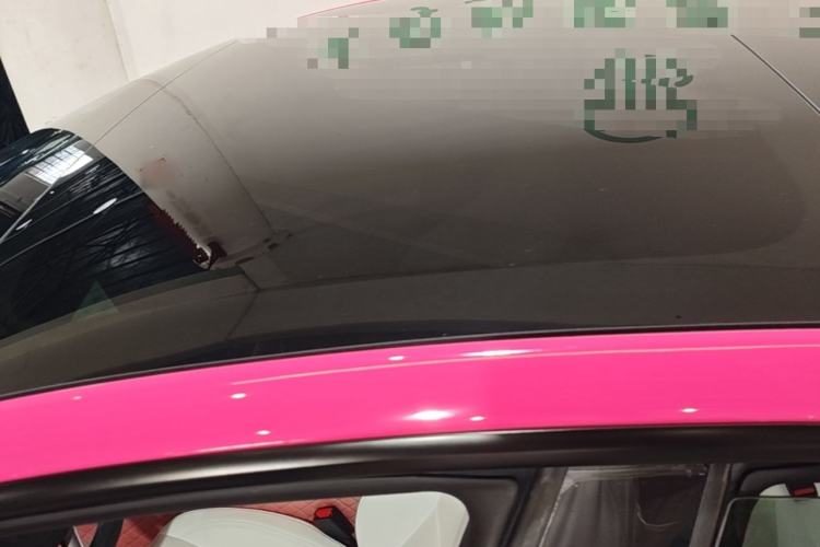 Used Tesla Model 3 2023 Rear-Wheel-Drive Version Roof