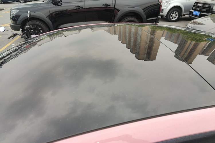 Used Tesla Model 3 2023 Rear-Wheel-Drive Version Roof