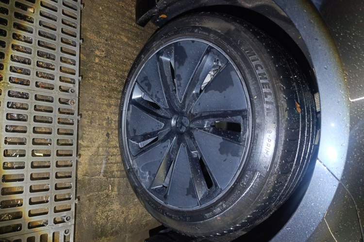 Used Tesla Model 3 2023 Rear-Wheel-Drive Version Exterior 1