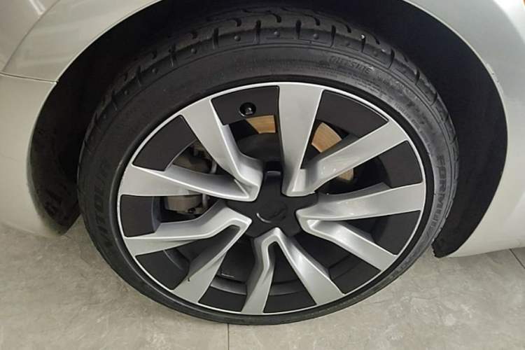 Used Tesla Model 3 2023 Rear-Wheel-Drive Version Exterior 5