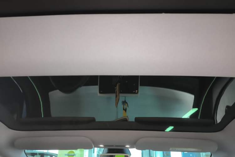 Used Tesla Model 3 2023 Rear-Wheel-Drive Version Headliner