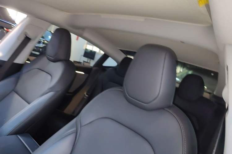 Used Tesla Model 3 2023 Rear-Wheel-Drive Version Headliner