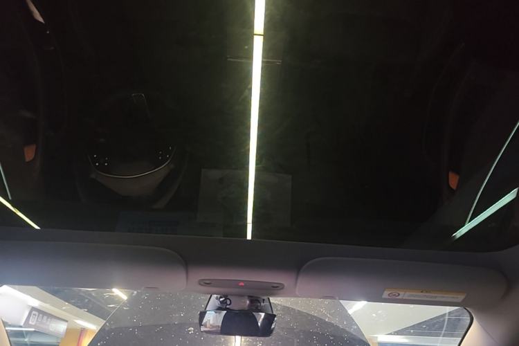 Used Tesla Model 3 2023 Rear-Wheel-Drive Version Headliner