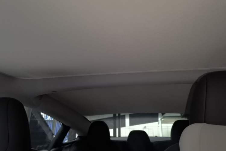 Used Tesla Model 3 2023 Rear-Wheel-Drive Version Headliner