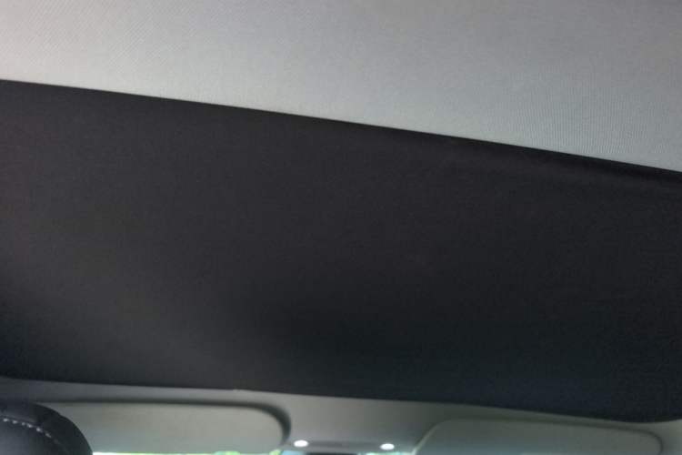 Used Tesla Model 3 2023 Rear-Wheel-Drive Version Headliner