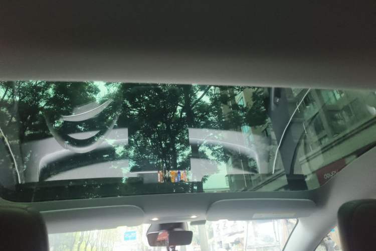 Used Tesla Model 3 2023 Rear-Wheel-Drive Version Headliner