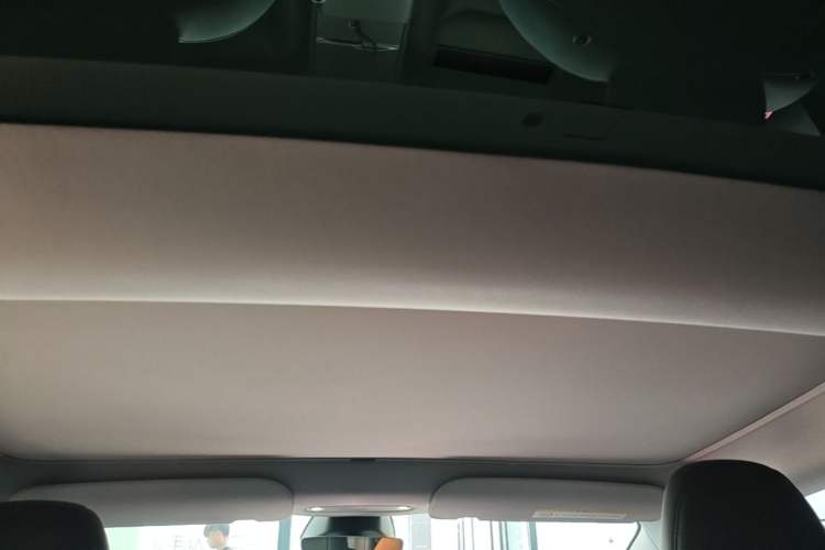 Used Tesla Model 3 2023 Rear-Wheel-Drive Version Headliner