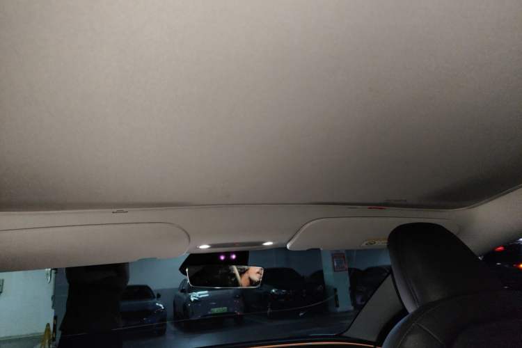 Used Tesla Model 3 2023 Rear-Wheel-Drive Version Headliner