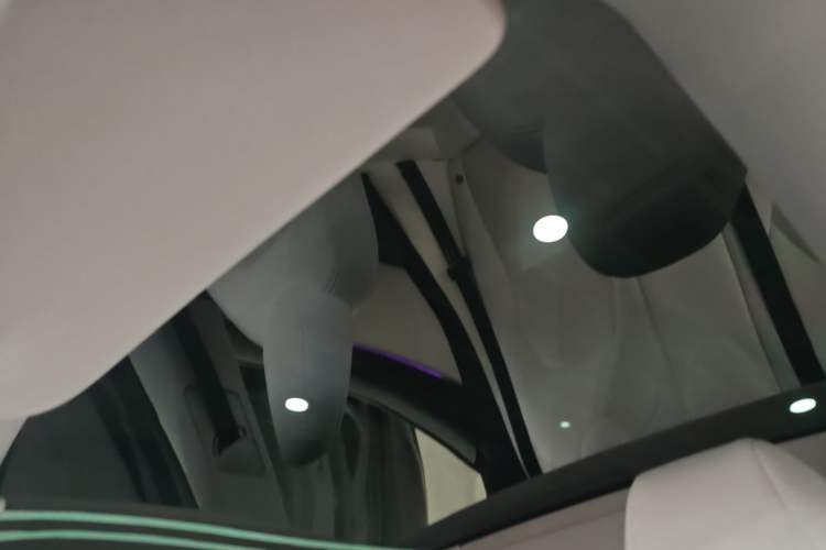Used Tesla Model 3 2023 Rear-Wheel-Drive Version Headliner