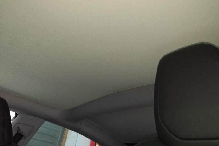 Used Tesla Model 3 2023 Rear-Wheel-Drive Version Headliner