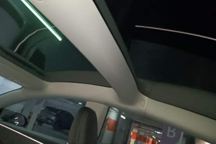 Used Tesla Model 3 2023 Rear-Wheel-Drive Version Headliner