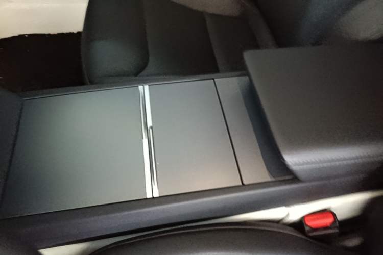Used Tesla Model 3 2023 Rear-Wheel-Drive Version Interior 1