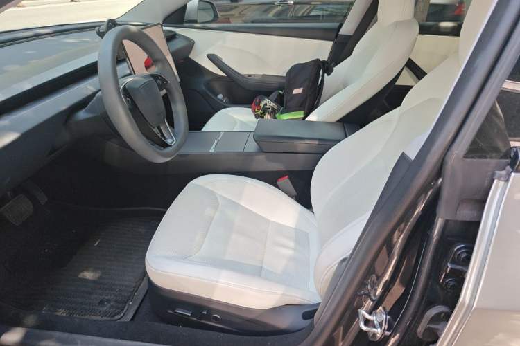 Used Tesla Model 3 2023 Long-Range All-Wheel-Drive Version Left Front Seat