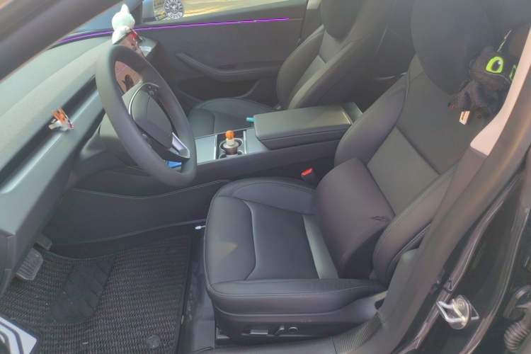 Used Tesla Model 3 2023 Long-Range All-Wheel-Drive Version Left Front Seat