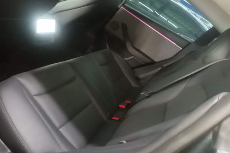Used Tesla Model 3 2023 Rear-Wheel-Drive Version Left Rear Seat