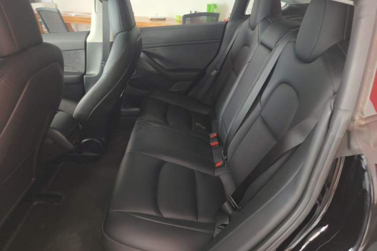 Used Tesla Model 3 2023 Rear-Wheel-Drive Version Left Rear Seat