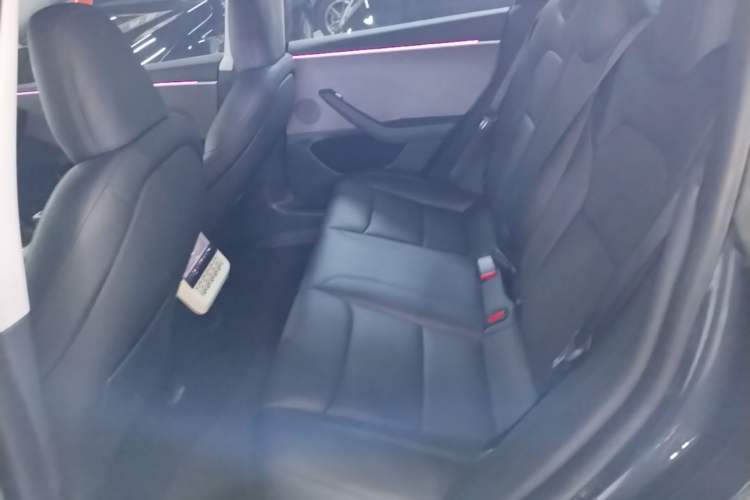 Used Tesla Model 3 2023 Rear-Wheel-Drive Version Left Rear Seat