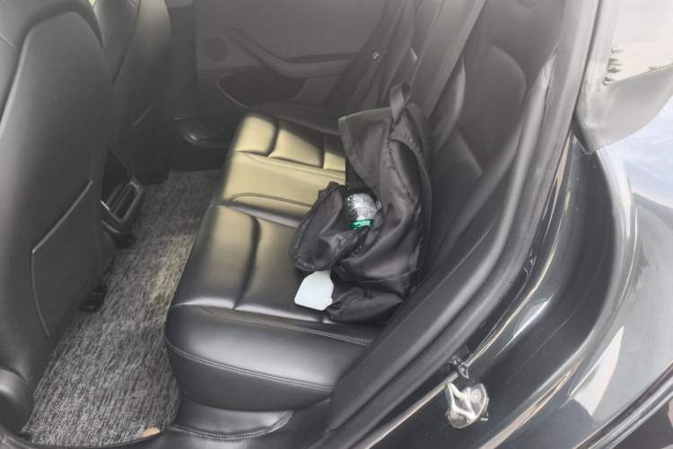 Used Tesla Model 3 2023 Rear-Wheel-Drive Version Left Rear Seat