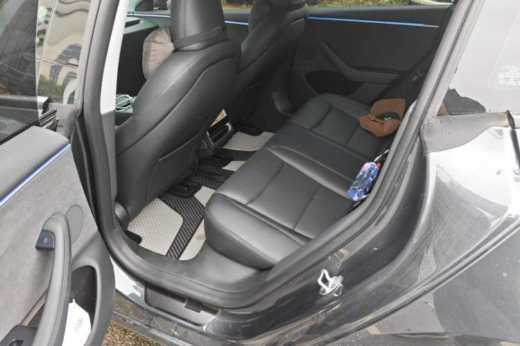 Used Tesla Model 3 2023 Long-Range All-Wheel-Drive Version Left Rear Seat