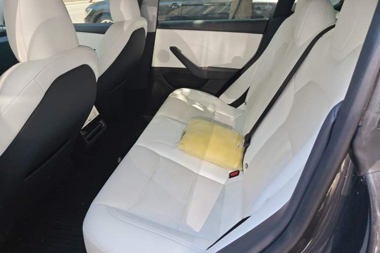 Used Tesla Model 3 2023 Long-Range All-Wheel-Drive Version Left Rear Seat