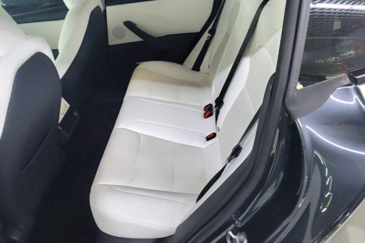Used Tesla Model 3 2023 Long-Range All-Wheel-Drive Version Left Rear Seat