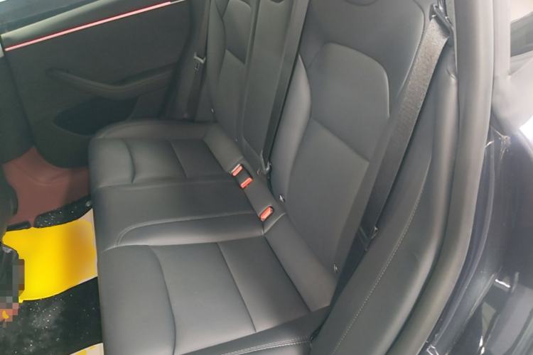 Used Tesla Model 3 2023 Long-Range All-Wheel-Drive Version Left Rear Seat