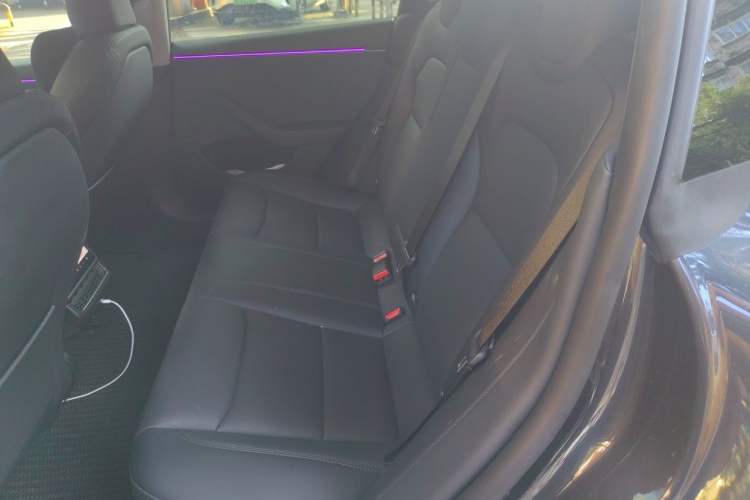 Used Tesla Model 3 2023 Long-Range All-Wheel-Drive Version Left Rear Seat