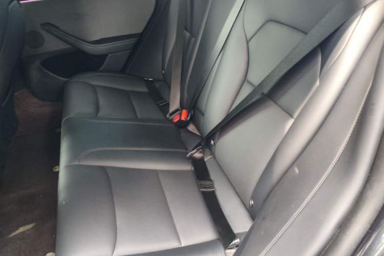 Used Tesla Model 3 2023 Rear-Wheel-Drive Version Left Rear Seat