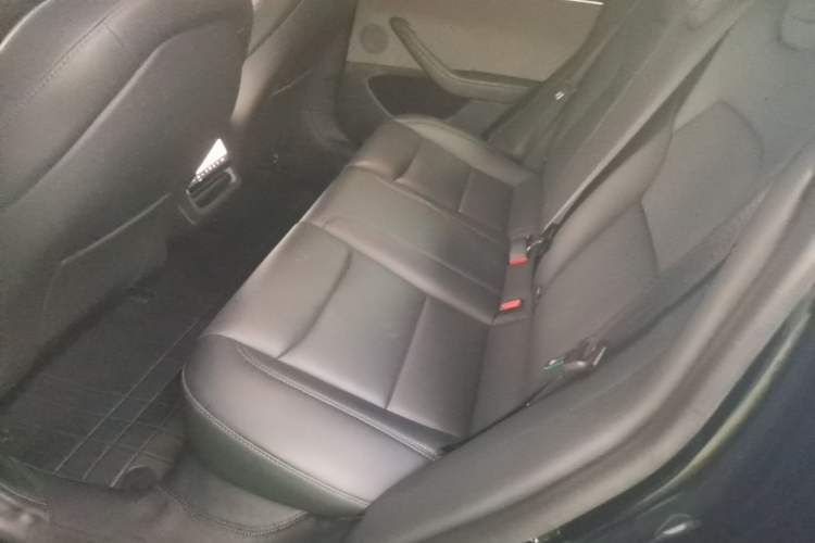 Used Tesla Model 3 2023 Rear-Wheel-Drive Version Left Rear Seat