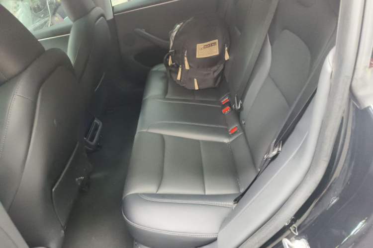Used Tesla Model 3 2023 Rear-Wheel-Drive Version Left Rear Seat