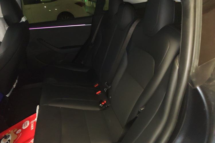 Used Tesla Model 3 2023 Long-Range All-Wheel-Drive Version Left Rear Seat