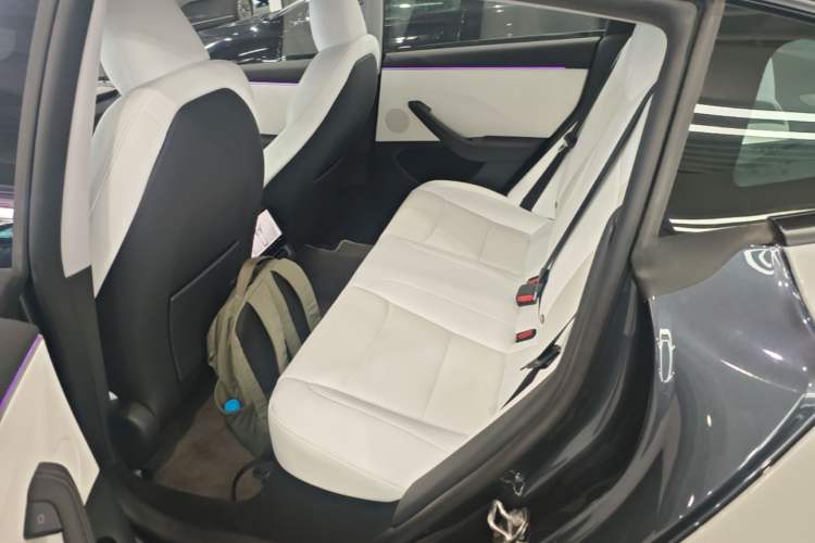 Used Tesla Model 3 2023 Rear-Wheel-Drive Version Left Rear Seat