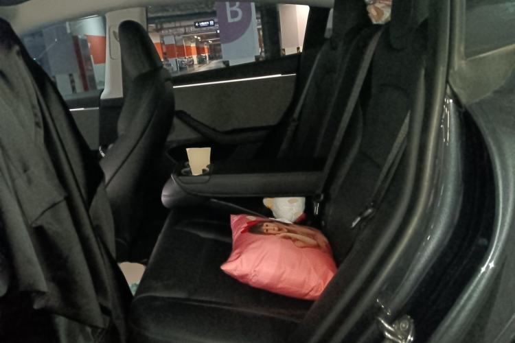 Used Tesla Model 3 2023 Rear-Wheel-Drive Version Left Rear Seat