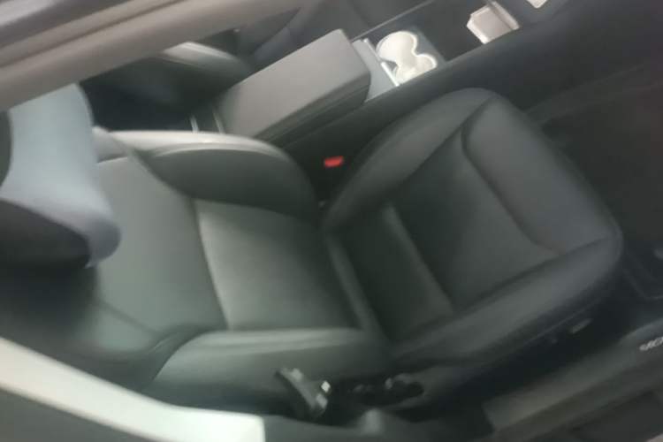 Used Tesla Model 3 2023 Rear-Wheel-Drive Version Right Front Seat
