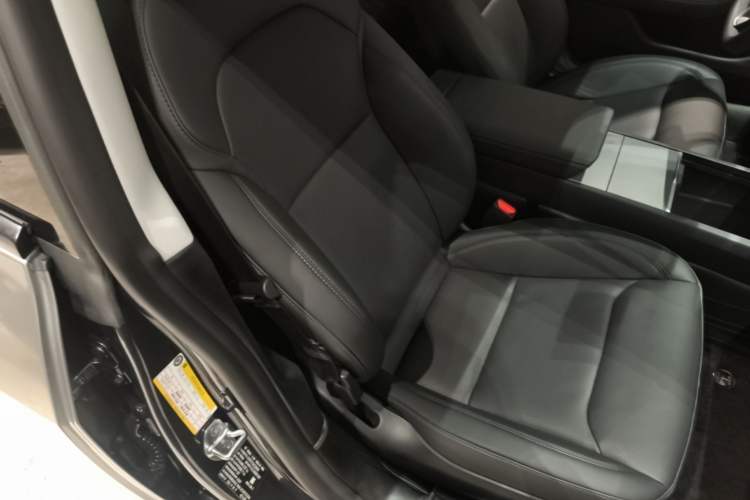 Used Tesla Model 3 2023 Rear-Wheel-Drive Version Right Front Seat