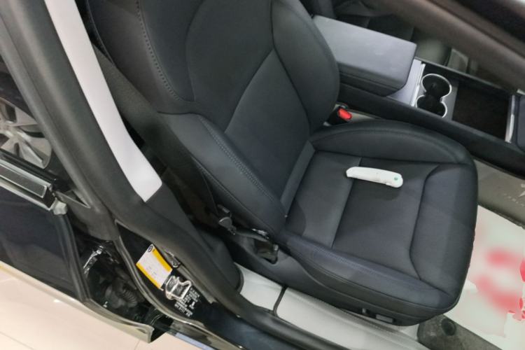 Used Tesla Model 3 2023 Rear-Wheel-Drive Version Right Front Seat