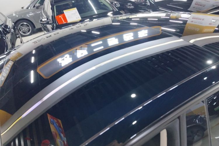 Used Tesla Model 3 2023 Rear-Wheel-Drive Version Roof