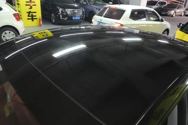 Used Tesla Model 3 2023 Rear-Wheel-Drive Version Roof