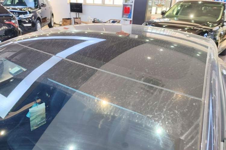 Used Tesla Model 3 2023 Rear-Wheel-Drive Version Roof