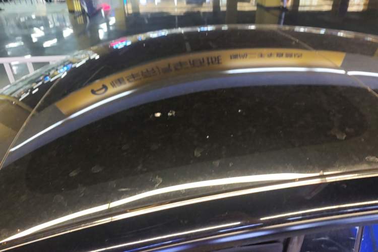 Used Tesla Model 3 2023 Rear-Wheel-Drive Version Roof