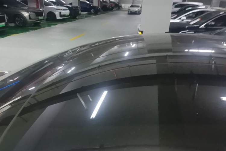 Used Tesla Model 3 2023 Rear-Wheel-Drive Version Roof