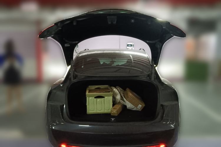 Used Tesla Model 3 2023 Rear-Wheel-Drive Version Trunk