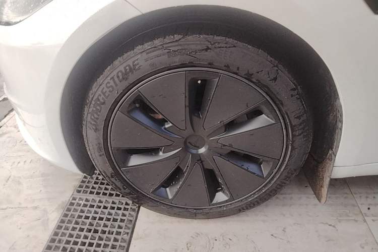 Used Tesla Model 3 2023 Long-Range All-Wheel-Drive Version Exterior 4