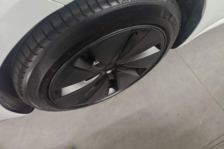 Used Tesla Model 3 2023 Rear-Wheel-Drive Version Exterior 4
