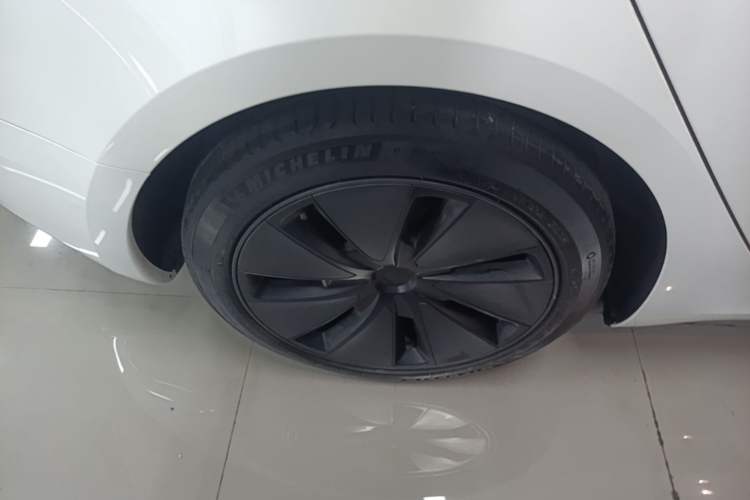 Used Tesla Model 3 2023 Rear-Wheel-Drive Version Exterior 5
