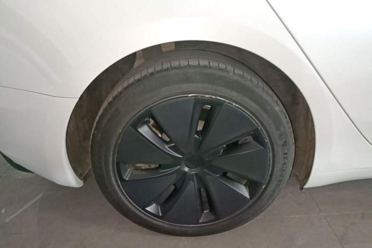Used Tesla Model 3 2023 Rear-Wheel-Drive Version Exterior 5