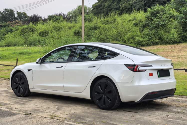 Used Tesla Model 3 2023 Rear-Wheel-Drive Version Exterior 5